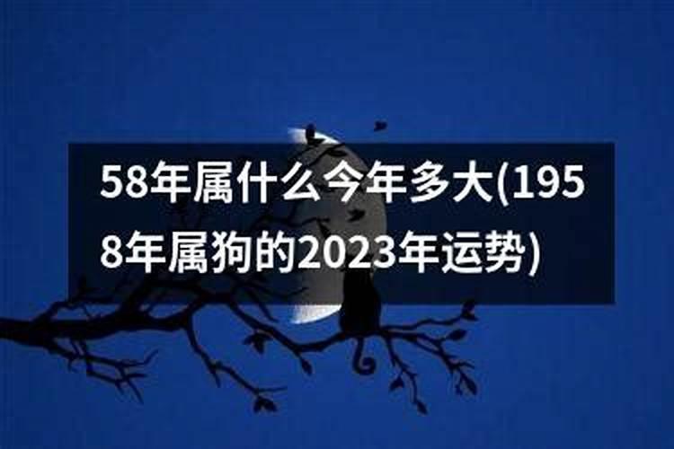 1958年属什么今年多大