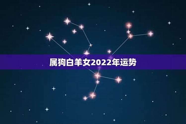 94年属狗女2022年感情运势