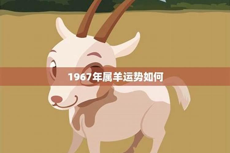 1967年属羊的月运程如何