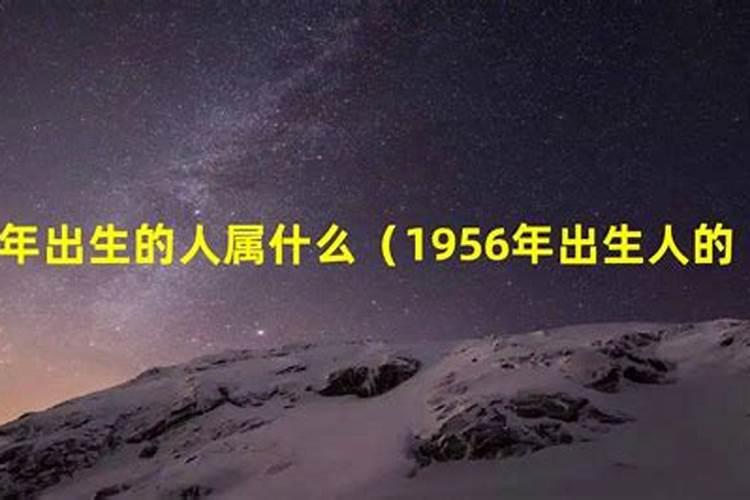 1956年出生的是属什么