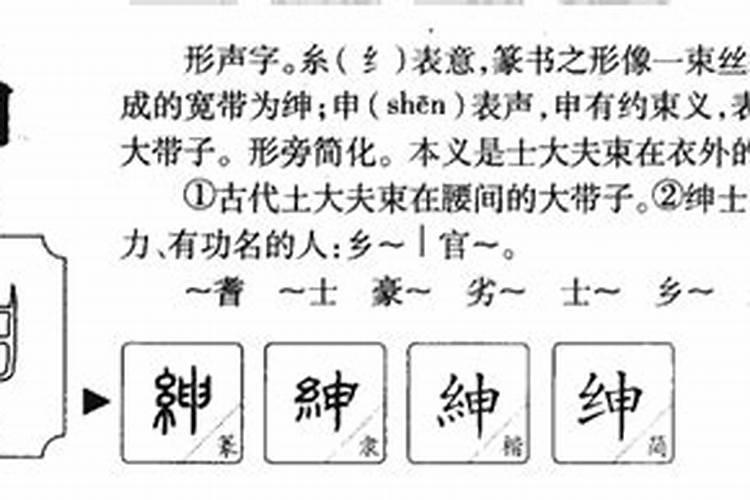 绅字属于五行属什么