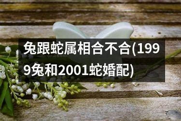 1999兔和2001蛇婚配