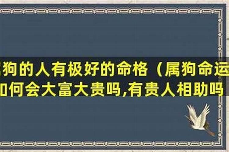 生肖狗不同年份7月运势如何