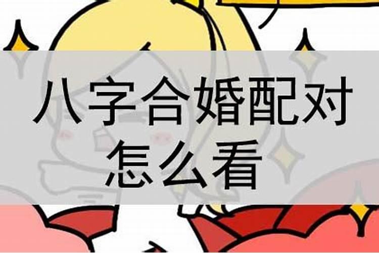 八字合婚命局互补