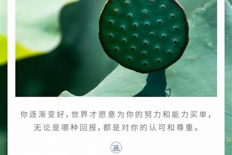 什么样的人运气好