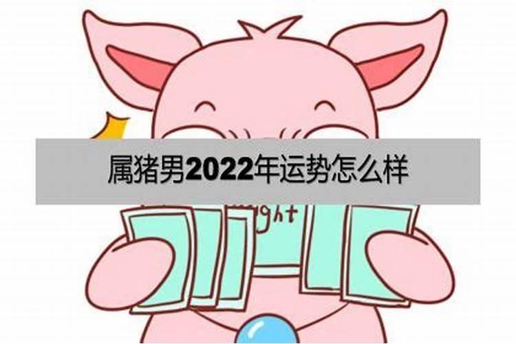 1971年猪男在2022年运势