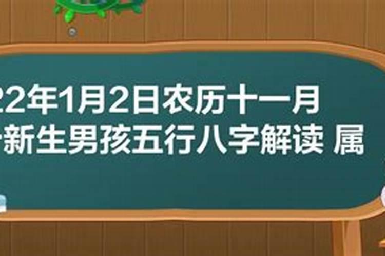 农历2021年1月2日属什么生肖