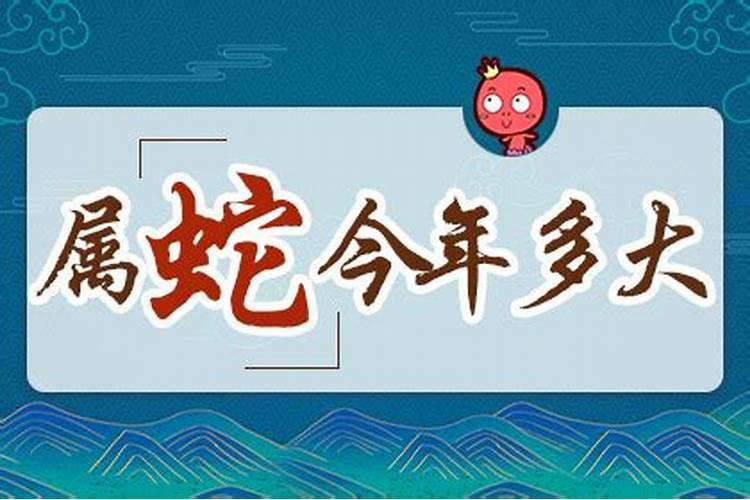 生肖龙今年多大年龄