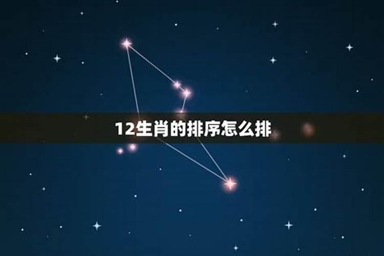 12生肖怎么排五行