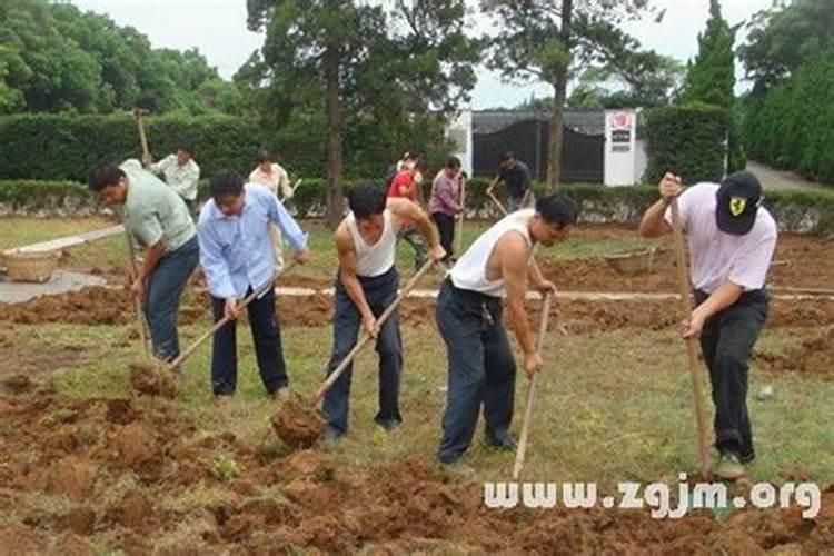 梦见家里都是土