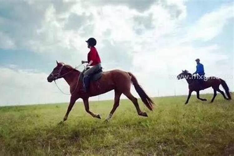 梦到骑着马奔跑是什么预兆解梦