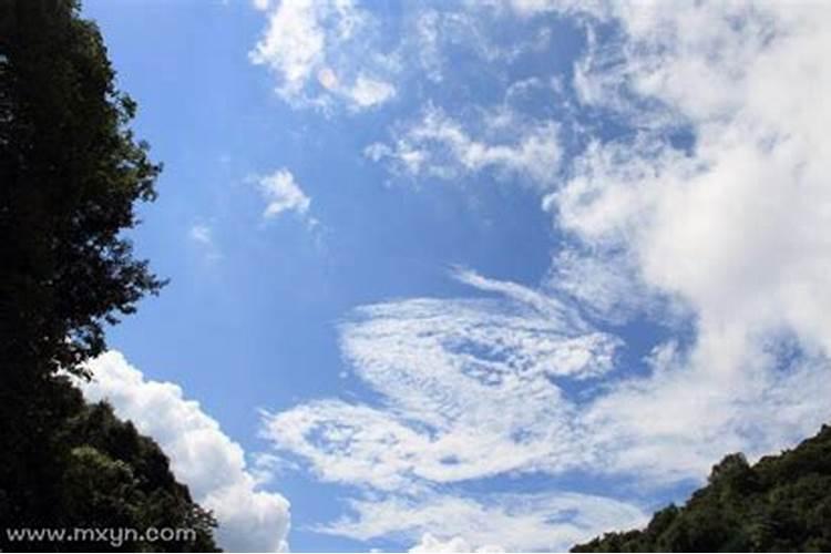 梦见下雨天空出现龙