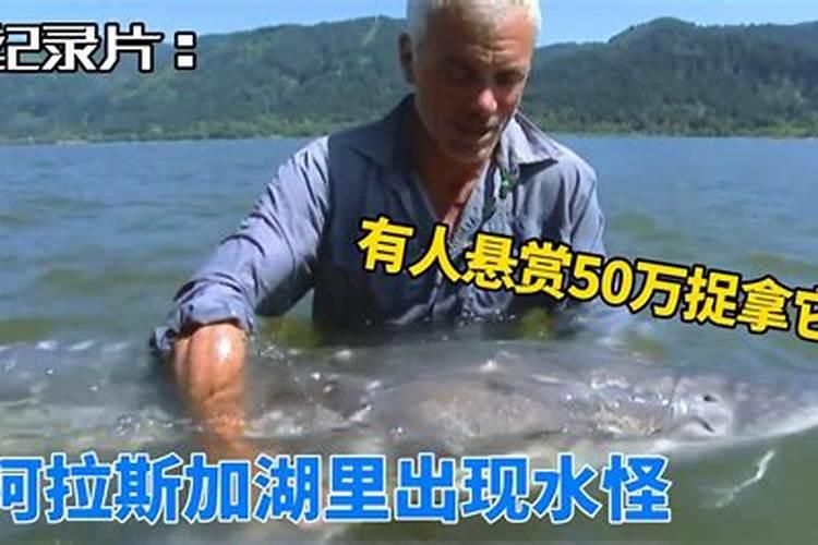 梦见湖里有水