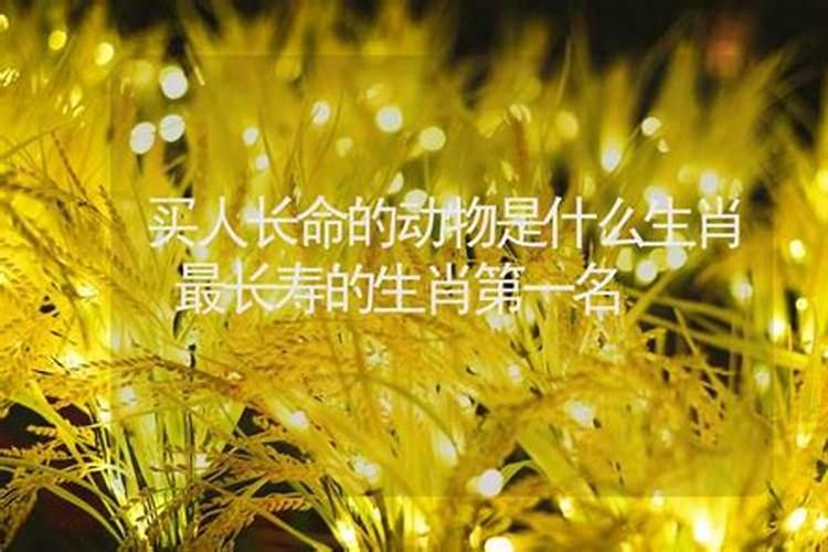 欲钱买桃花依旧是什么生肖