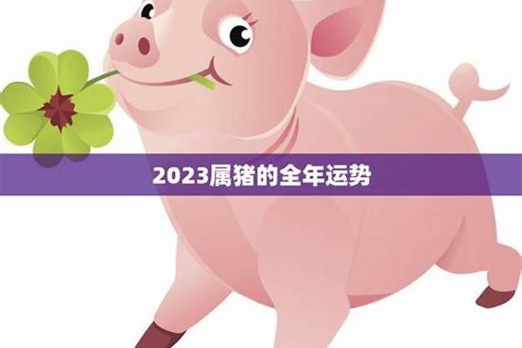 2023年属猪的全年运势1990