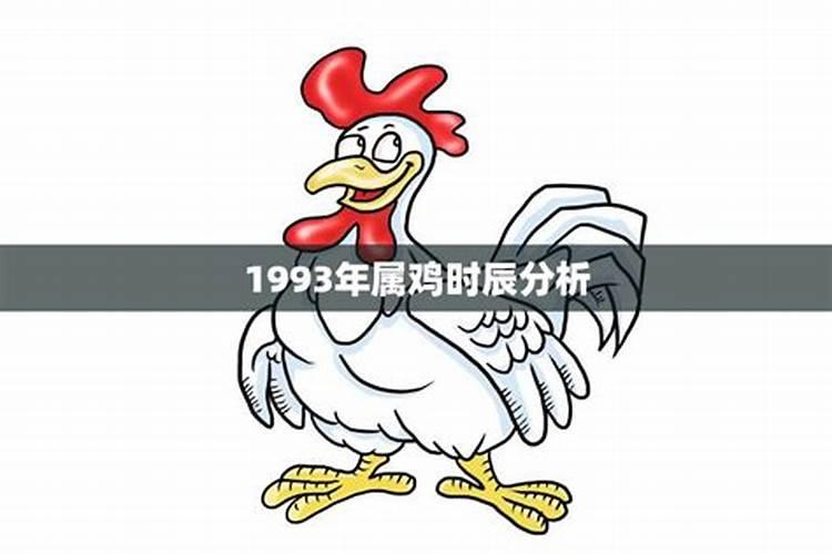 1993年属鸡是属于什么命