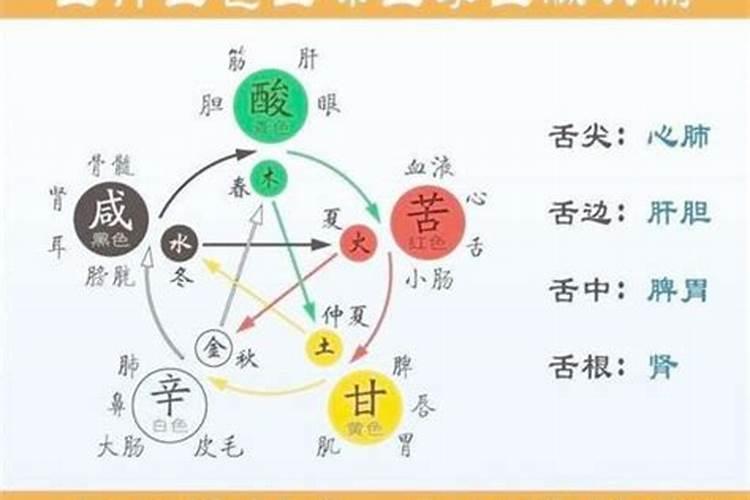 阴金命的人五行中缺什么属性呢