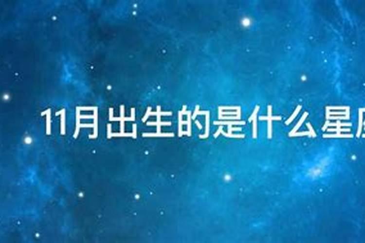 71年11月的猪是什么星座