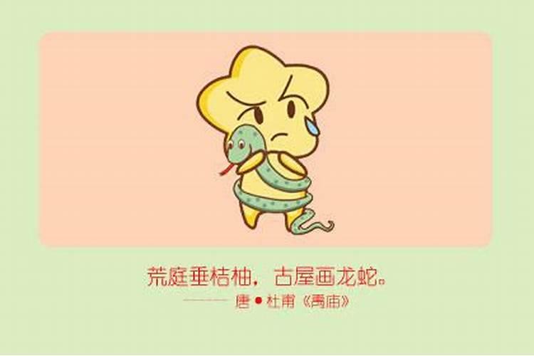 属蛇女婚后容易出轨吗