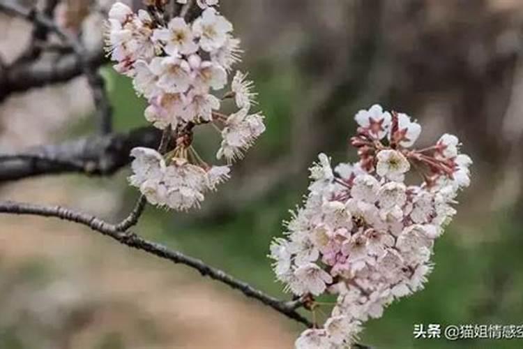 天秤女经常花你的钱说明什么