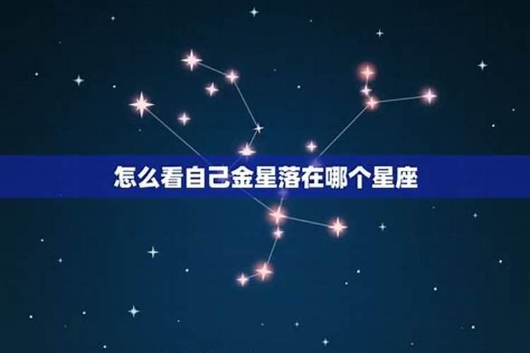 金星是哪个星座