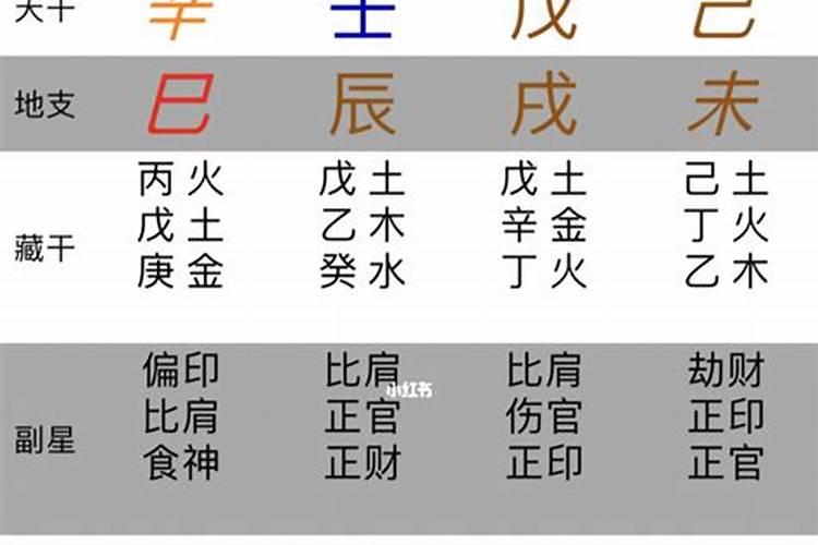 怎么学会算命看八字