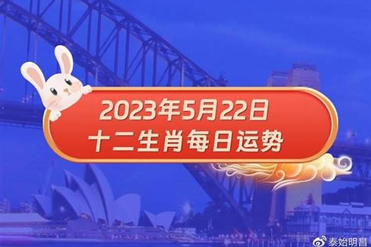 2023年5月14日十二生肖