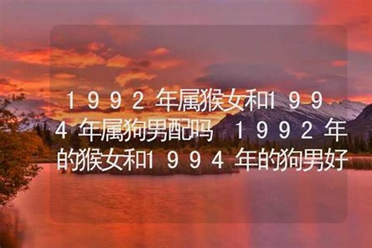 1992属猴的和1994属狗的能结婚吗