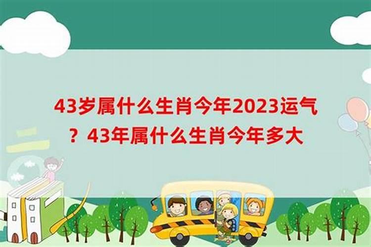 今年43岁属于什么生肖