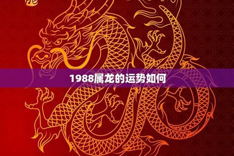 1988年5月属龙2020年运势