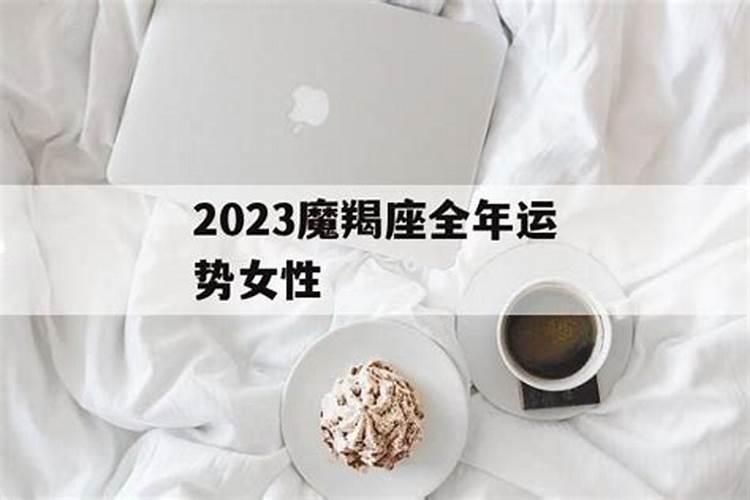 摩羯座2023年的全年运势女