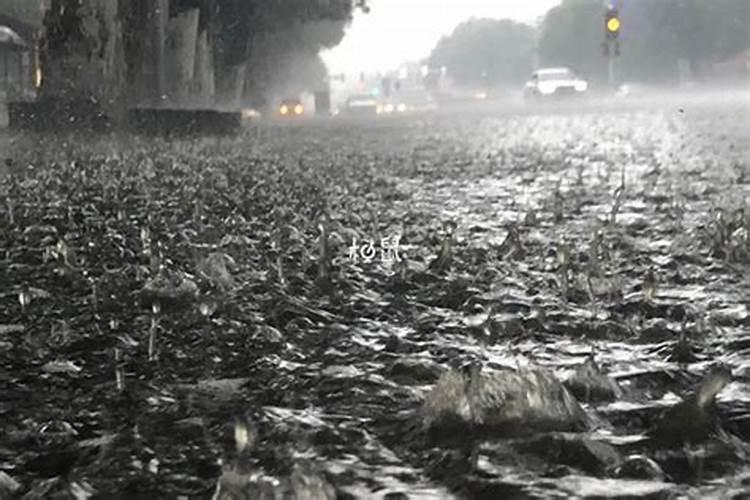 孕妇梦见下雨生男生女