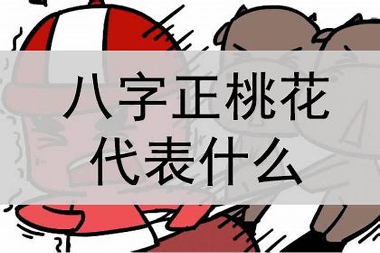 八字中代表桃花的字