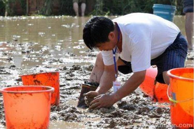 梦见抓了泥鳅是什么意思