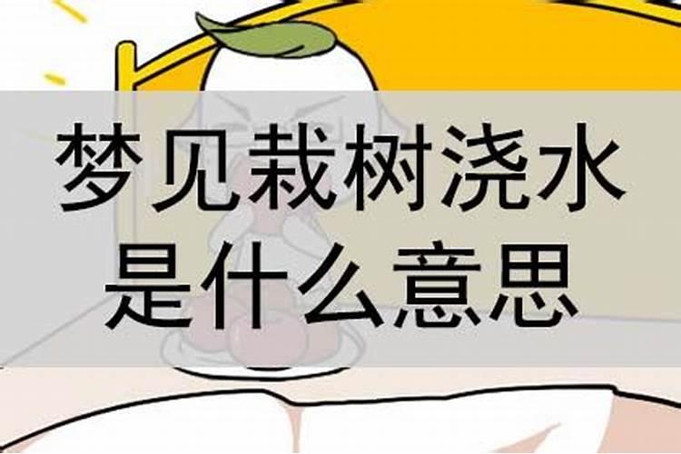 梦见栽树给树浇水是什么意思