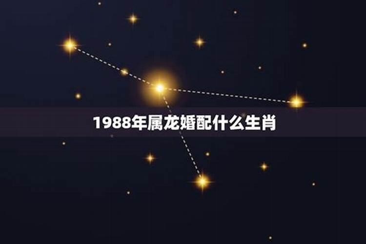 1988年属龙人婚配什么最好