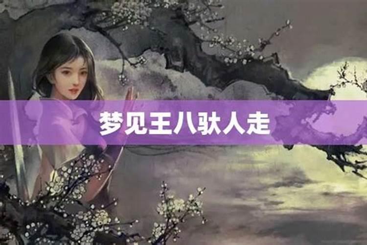 捡到王八是什么预兆解梦女人