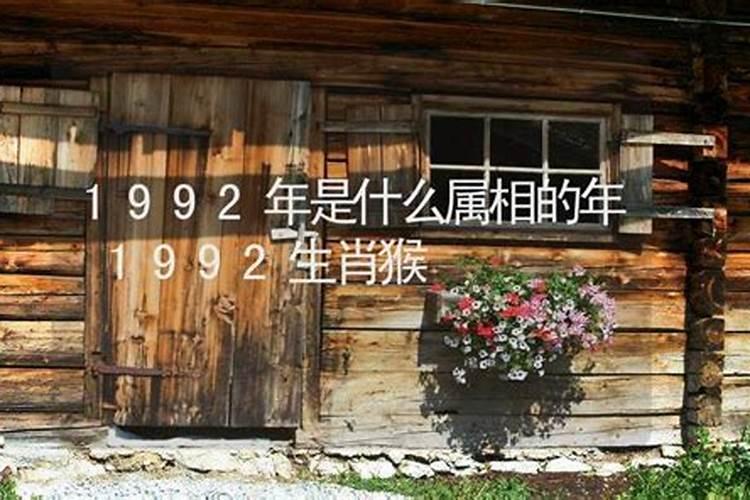 1992年是什么年是属什么的