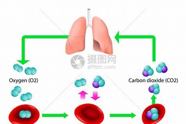 转运的方式