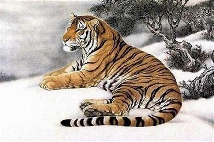 生肖虎是哪几年出生
