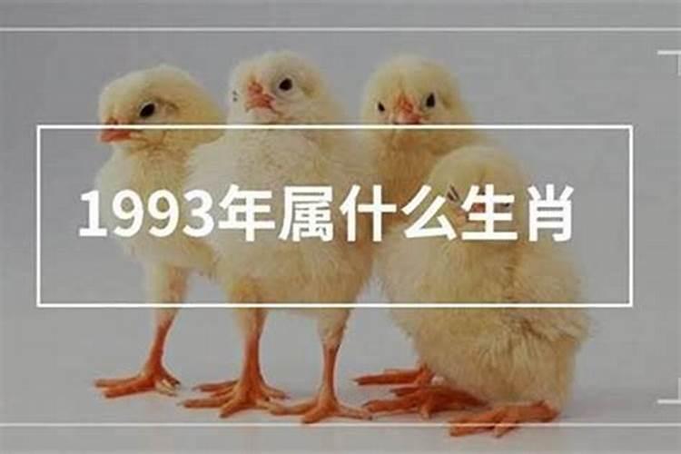 59年属什么的属性