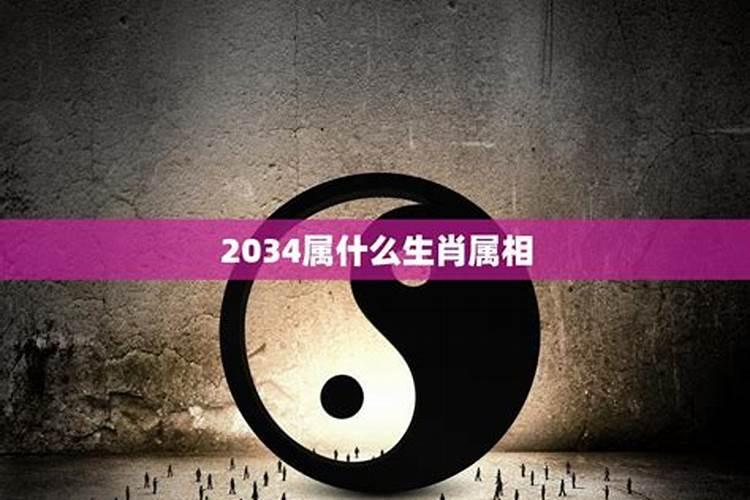 2034年属什么生肖什么命