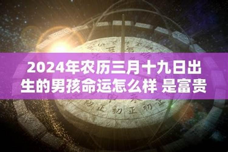 易经属兔2023年运势及运程