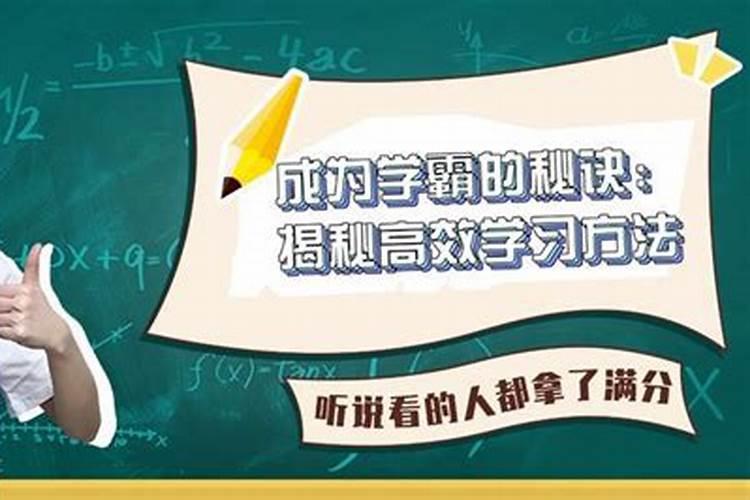 金牛座的学霸计划怎么做