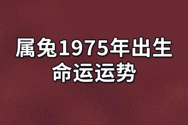 1974年出生的一生运势