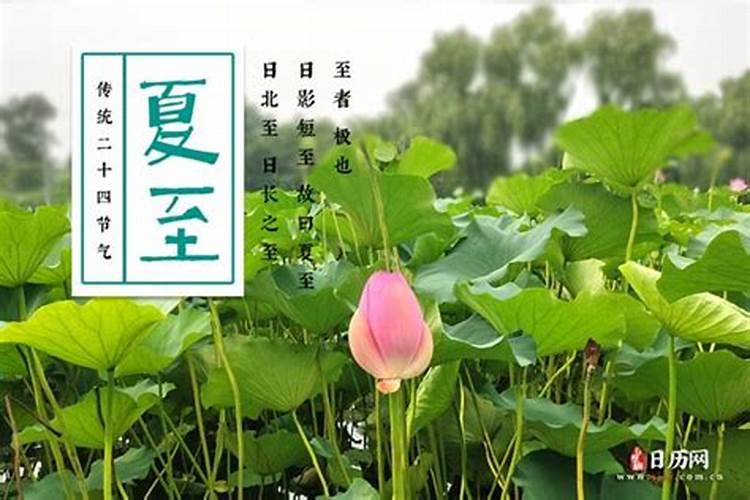 夏至后是哪个节气