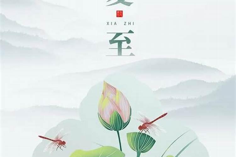 夏至是哪个节气