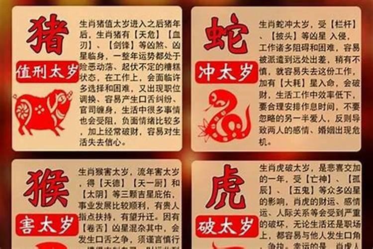 属兔的今年犯太岁吗?2022