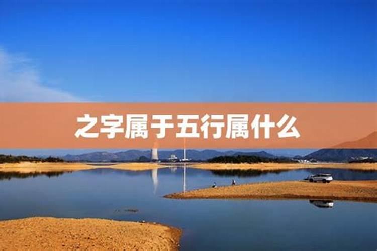 浔字属于五行属什么