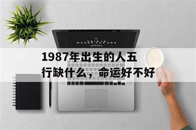 1987年出生的人今年运势如何